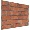 Sienų plokštės 10 vnt. 100 x 50 cm Terakotos EPS putos