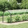 Skaidrus brezentas su ąselėmis 1x10 m PVC