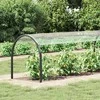 Skaidrus brezentas su ąselėmis 1x6 m PVC