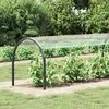 Skaidrus brezentas su ąselėmis 1x8 m PVC
