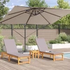 Skėtis nuo saulės 351 x 250 x 260 cm Poliesteris ir aliuminis