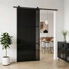 Slankios durys 102 x 205 cm Grūdintas stiklas ir aliuminis