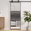 Stiklinės durys Dryžuotas Juoda 76 x 2 x 205 cm Aliuminis
