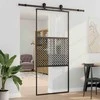 Stiklinės durys „Fretwork“ Juoda 90 x 2 x 205 cm Aliuminis