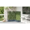 Sodo vazonas 5 vnt. Pilka 120 x 120 x 125,5 cm PP
