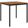 Sodo Baro Stalas Natūrali ir juoda 110 x 108,5 x 105 cm