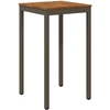 Sodo Baro Stalas Natūralus ir kava 60 x 60,5 x 105 cm