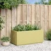 Sodo gėlių dėžutė Žalia 80 x 36 x 35 cm PP