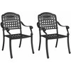 Sodo Kėdė 2 pcs Juoda 55 x 56,5 x 91cm Aliuminis