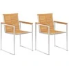 Sodo kėdės su pagalvėlėmis, 2vnt., tikmedžio masyvas ir plienas