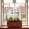 Sodo kuolas 3 vnt. 41 x 10 x 0,08 cm Šaltai valcuotas plienas