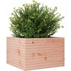 Sodo lovelis, 70x70x45,5cm, douglas eglės medienos masyvas