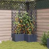 Sodo vazonas 3 vnt. Pilka 80 x 80 x 143 cm PP