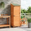 Sodo Sandėlys Ruda 59,5 x 56 x 176,5 cm Apdirbta mediena