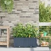 Sodo vazonas 2 pcs Pilka 80 x 40 x 37,5 cm Plastmasė
