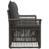 Sodo sofa 2-Vietų skaičius Pilka poliratanas