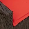 sodo sofa su pagalvėlėmis, ruda, poliratanas