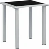 Sodo stalas, juodas/sidabrinis, 41x41x45cm, plienas ir stiklas