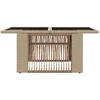 Sodo stalas Smėlio 100 x 55 x 37 cm PE Rattan ir Stiklas