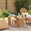 Sodo šoninis stalas 3 pcs Ruda 33 x 44,5 x 51 cm