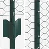 Hexagonal Fence with Post 25 x 1 m PVC dengtas plienas Žalia