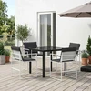 Sodo valgomojo komplektas 5 pcs Balta ir antracito