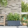 Sodo vazonas 2 pcs Šviesiai Pilka 80 x 40 x 37,5 cm Plastmasė