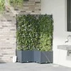 Sodo vazonas 3 pcs Šviesiai Pilka 80 x 80 x 142 cm Plastmasė
