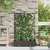Sodo vazonas 2 vnt. Ruda 80 x 40 x 126 cm PP