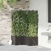 Sodo vazonas 3 vnt. Ruda 80 x 80 x 142 cm PP