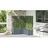 Sodo vazonas 5 pcs Šviesiai Pilka 120 x 120 x 142 cm Plastmasė
