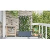 Sodo vazonas 2 pcs Šviesiai Pilka 80 x 40 x 142 cm Plastmasė