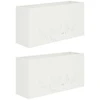 Sodo vazonas 2 vnt. Balta 100 x 20 x 49 cm