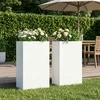 Sodo vazonas 2 vnt Balta 50 x 20 x 75 cm