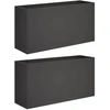 Sodo vazonas 2 vnt. Juoda 100 x 30 x 50 cm