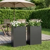 Sodo vazonas 2 vnt. Juoda 50 x 20 x 75 cm
