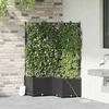 Sodo vazonas 3 vnt. Juoda 80 x 80 x 142 cm PP