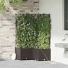 Sodo vazonas 3 vnt. Ruda 80 x 80 x 142 cm PP