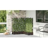 Sodo vazonas 5 vnt. Ruda 120 x 120 x 125,5 cm PP