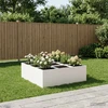 Sodo vazonas Balta 100 x 100 x 30 cm Šaltai valcuotas plienas