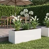 Sodo vazonas Balta 40 x 20 x 20 cm Šaltai valcuotas plienas