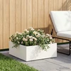 Sodo vazonas Balta 40 x 40 x 20 cm Šaltai valcuotas plienas