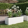 Sodo vazonas Balta 60 x 20 x 20 cm Šaltai valcuotas plienas