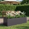 Sodo vazonas Juoda 200 x 80 x 60 cm Šaltai valcuotas plienas