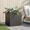 Sodo vazonas Juoda 50 x 50 x 49 cm Šaltai valcuotas plienas