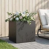 Sodo vazonas Juoda 50 x 50 x 49 cm Šaltai valcuotas plienas