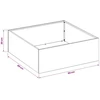 Sodo vazonas Sidabrinė 60 x 60 x 20 cm Galvanizuotas plienas