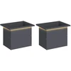 Sodo vazonas su LED 2 vnt. Antracitas 30 x 40 x 30 cm Plienas
