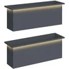 Sodo vazonas su LED 2 vnt. Antracitas 30 x 100 x 30 cm Plienas