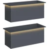 Sodo vazonas su LED 2 vnt. Antracitas 40 x 100 x 40 cm Plienas